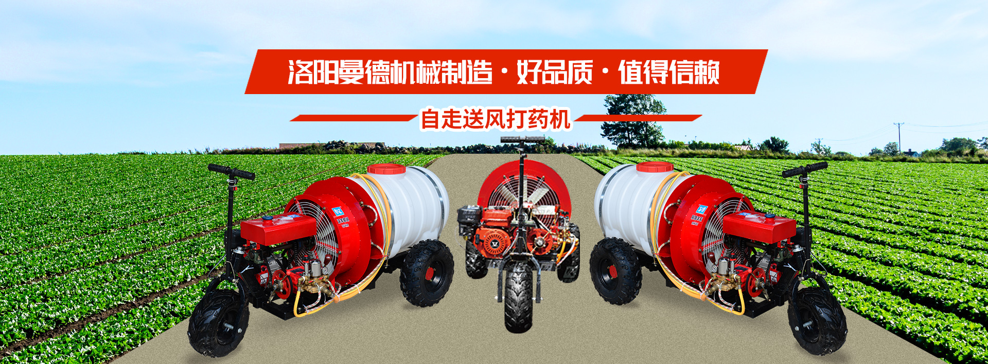 半岛online(中国)